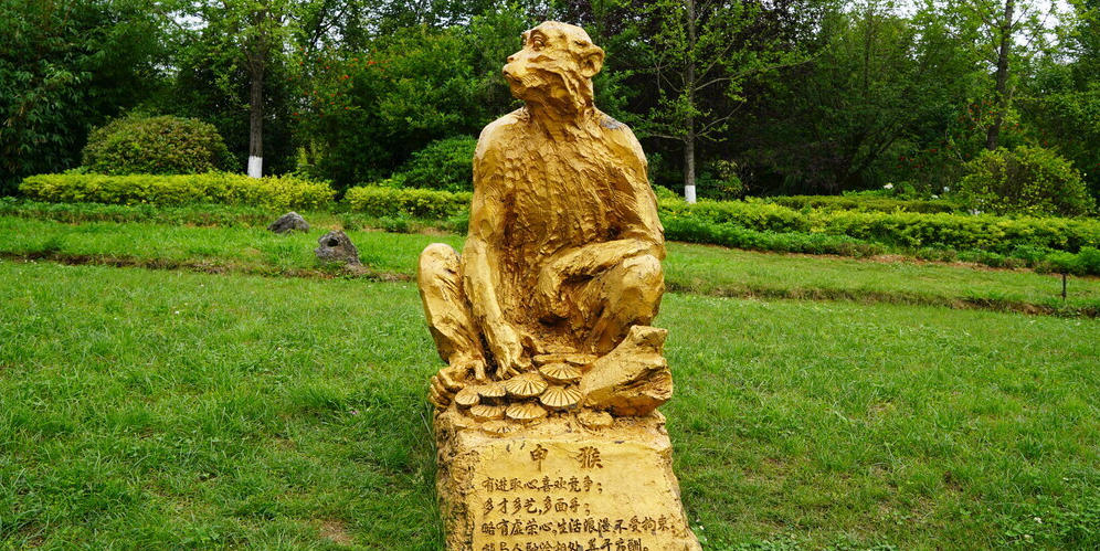 绿波春水湖光满指是代表最佳什么生肖,释义成语精选解释