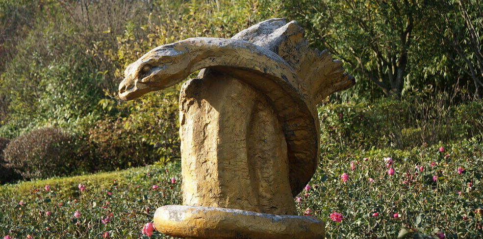 水过鸭背猜打一最佳准确生肖,解读精选词语释义