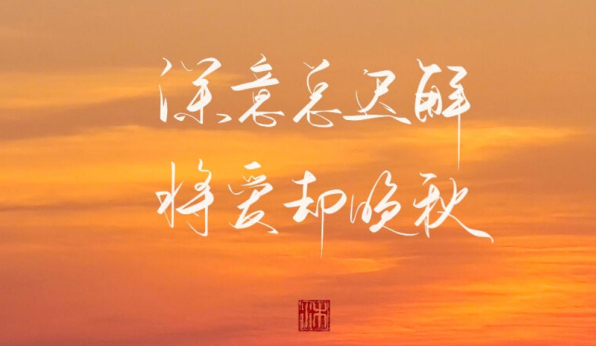 迷茫人生，苦海孤身，随行逐队欲何为是指什么生肖，重点词语精准释义