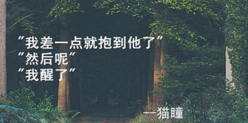 书生考订言虽确，六柳先生以道鸣指是代表什么生肖,落实词语含义阐述答解