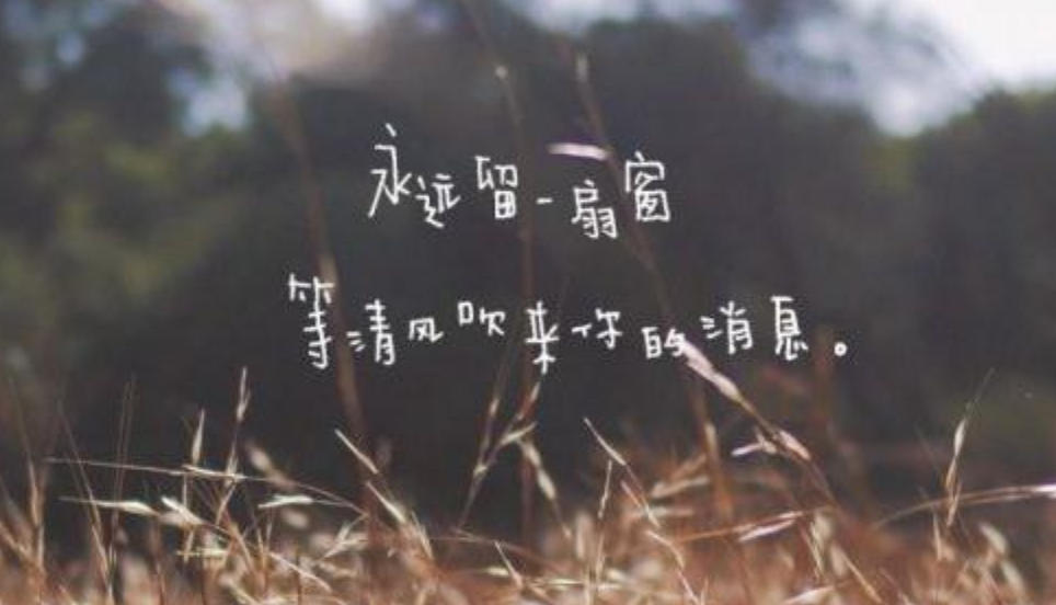 人需伯乐，一展所长，他日自立作栋梁指代表什么生肖，核心词汇释义解析