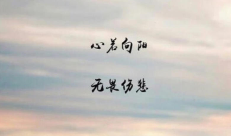 精选谜底作答:迷茫人生，苦海孤身，随行逐队欲何为；人需伯乐，一展所长，他日自立作栋梁是打猜一最佳精准生肖,解释成语落实释义