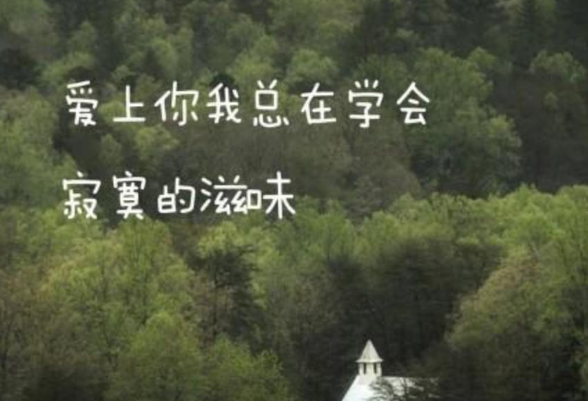 作作有芒猜指解一准确生肖,猜打一最佳精准成语释义解释