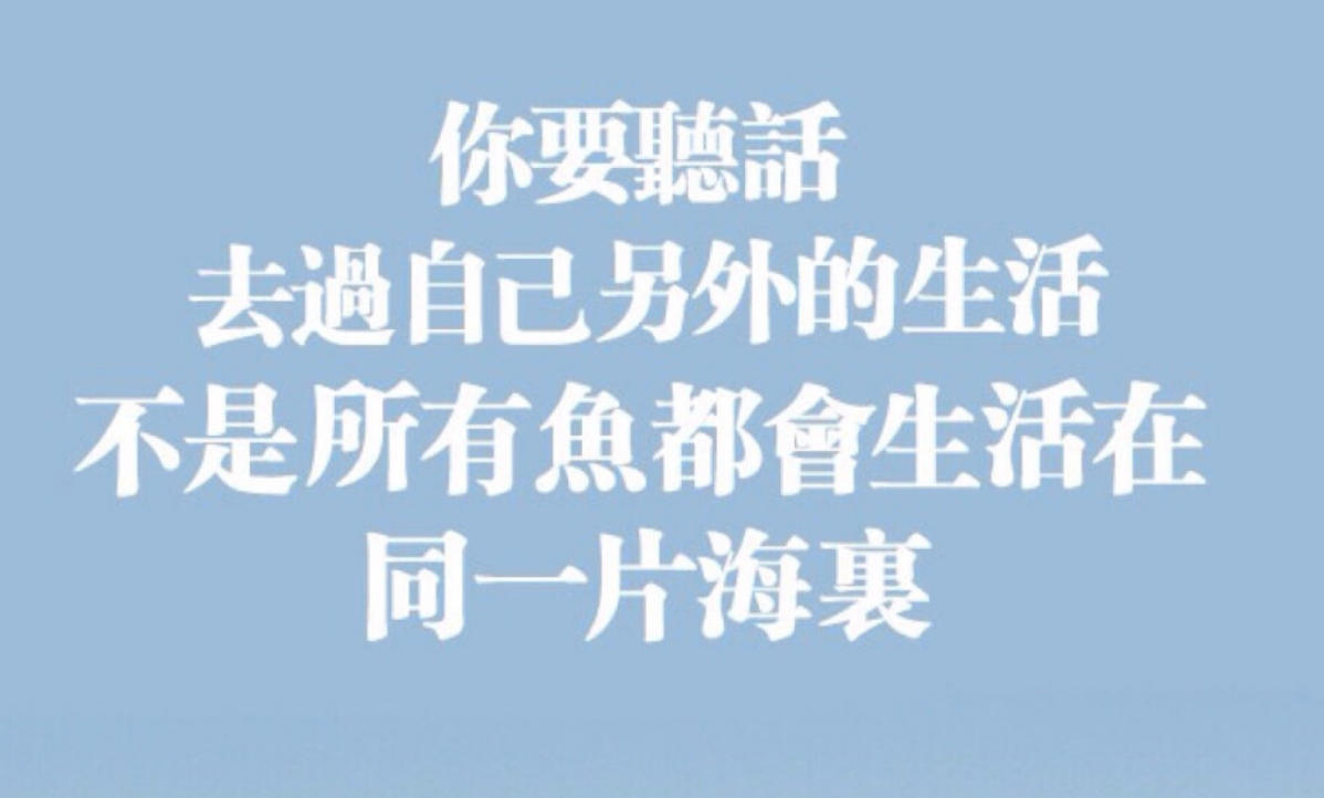 作作有芒是什么生肖，精准成语释义筛选