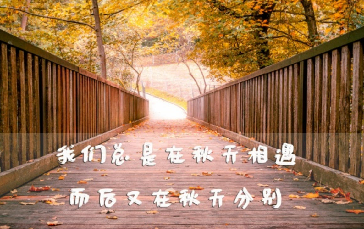 上下交困打一生肖是指什么生肖答案谜底揭晓