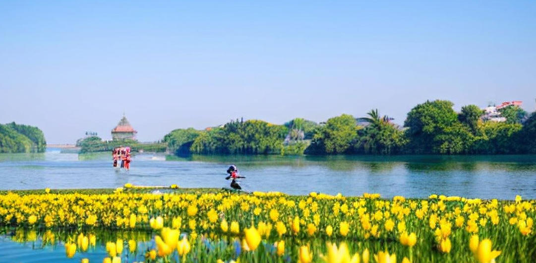 朔风凛冽代表是指什么生肖,释义最佳详析解释!