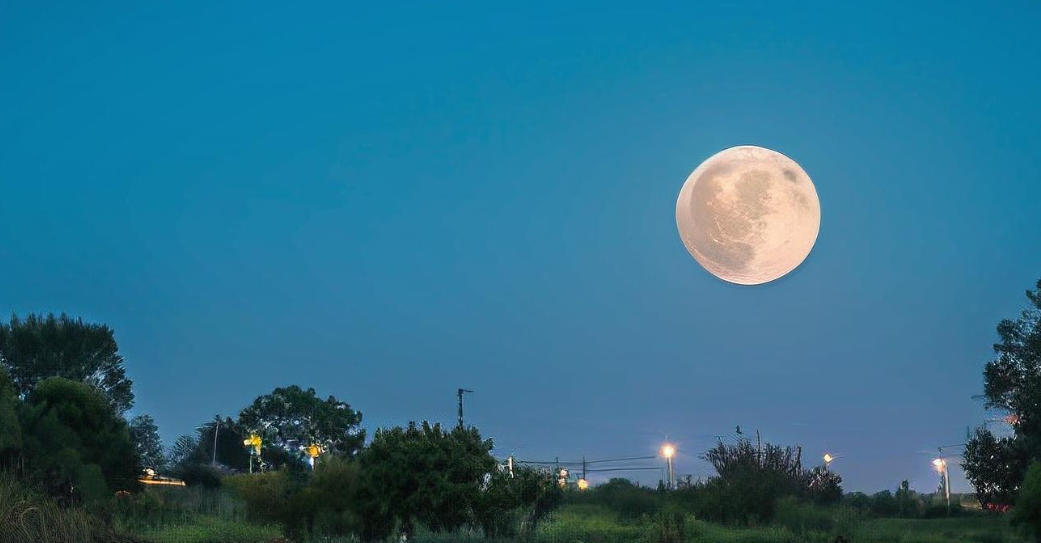 今期猪龙鸡出特，马首桓州又懿州是指打猜一最佳精准哪个准确生肖词,解释成语落实释义