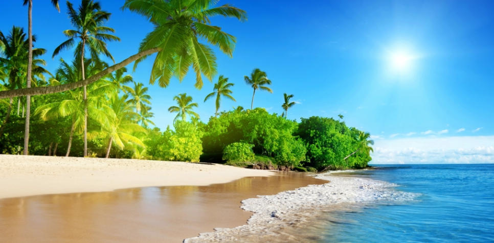 草芥飘臭，异味扰人。石门岑寂断纤埃是指代表哪个正确生肖精选释义落实解释