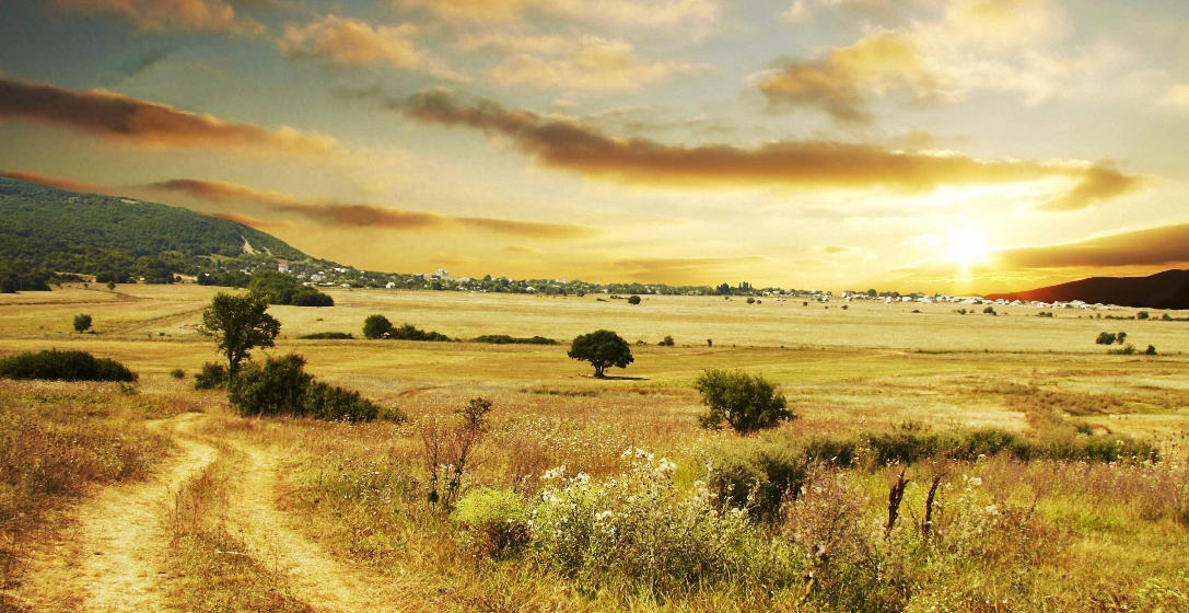 僧多粥少是什么生肖,综合释义解读答案