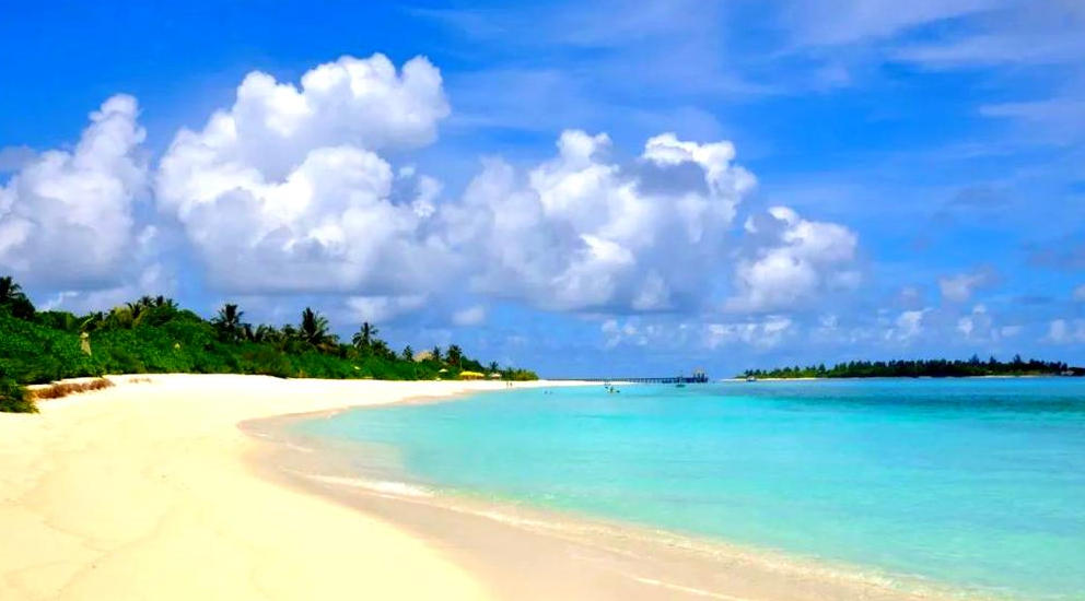 鹤栖三岛接青霞打一生肖——最佳准确词语解析释义