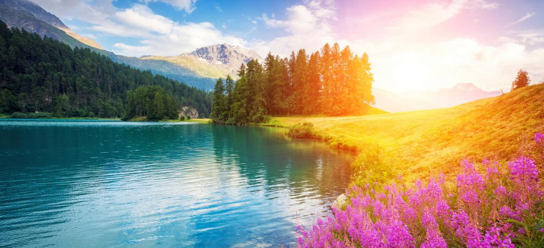 欲钱看刚出炉的铁指代表什么生肖，精准成语释义筛选