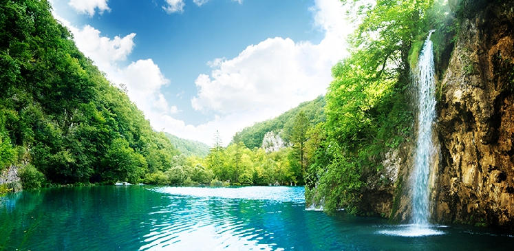 精选谜底作答:家里生肖今又逢，东方情人两家亲打个最佳精准生肖,解释落实成语释义