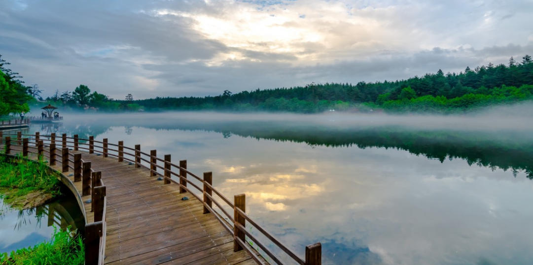 今期猪龙鸡出特，马首桓州又懿州指打一最佳准确生肖，精准谜底解答解释