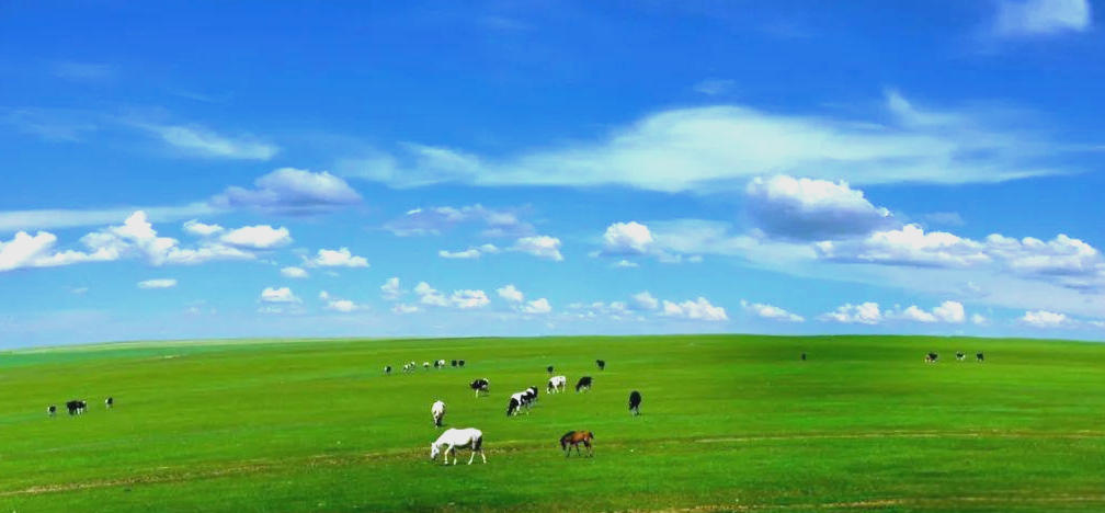 欲钱看排骨精给唐僧送饭代表打一精准生肖，成语解释释义落实