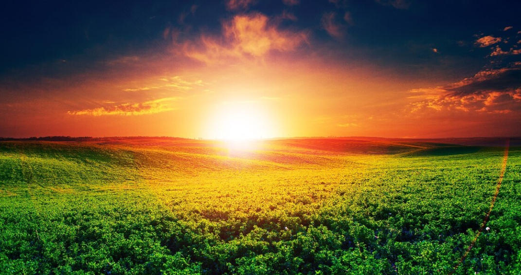 今期虎猪牛出特,金杯有喜轻轻点猜是代表指指一个最佳准确生肖,独家释义词语解释