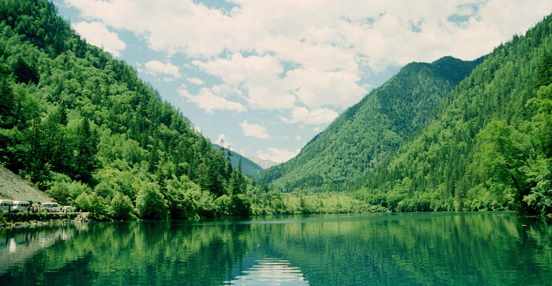 花鬘斗薮龙蛇动打一生肖——最佳准确生肖词语解析