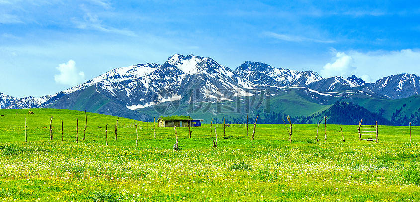 上下交困是什么生肖，打一最佳准确正确生肖最佳答案释义解释落实