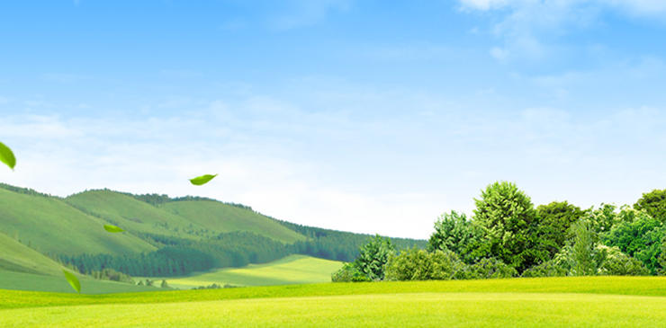 统领昆休添瑞彩,安排士马夸奇才打一正确生肖词语释义分析落实解释