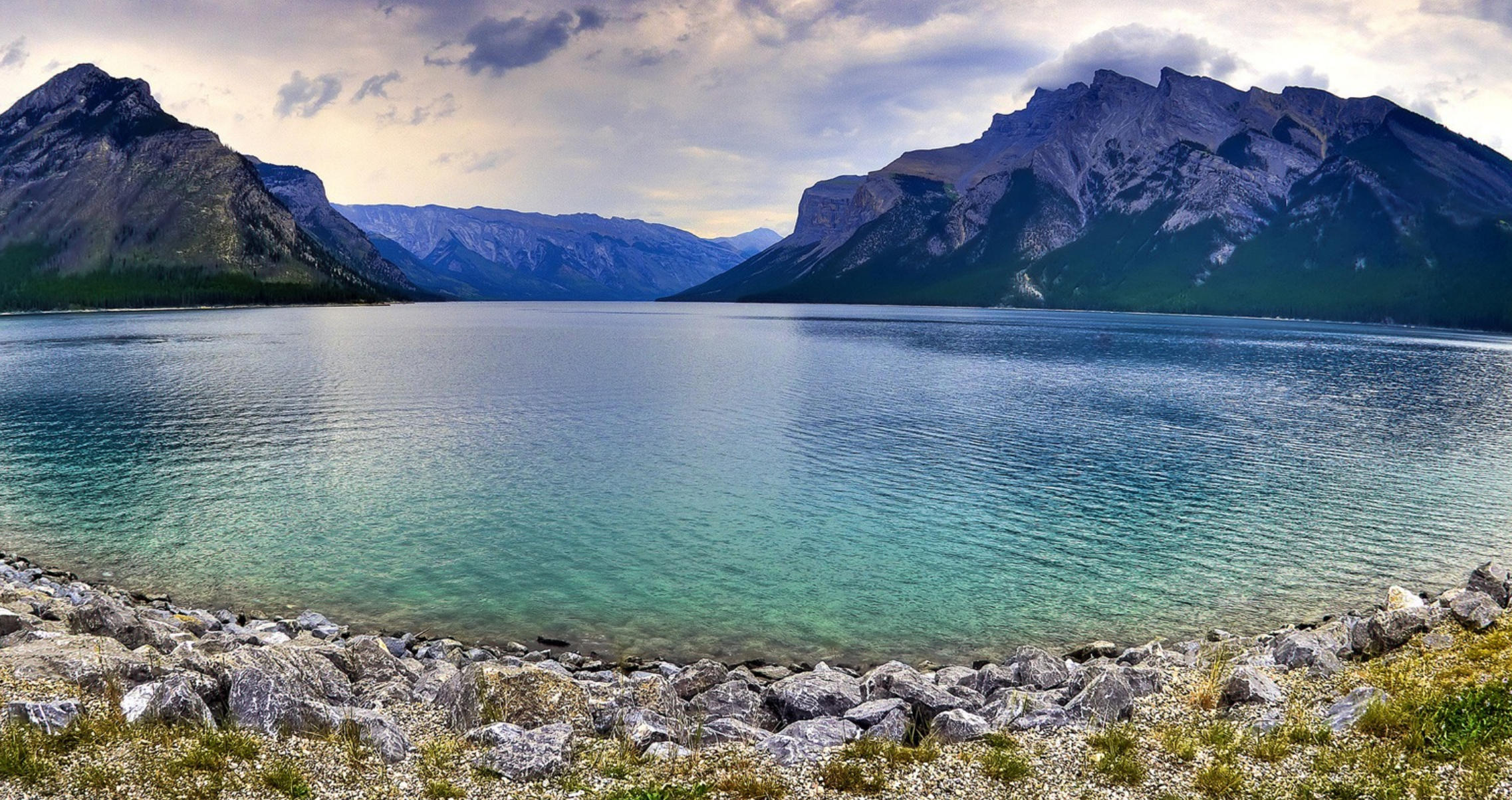 唯利是图是什么生肖，释义落实重点词语