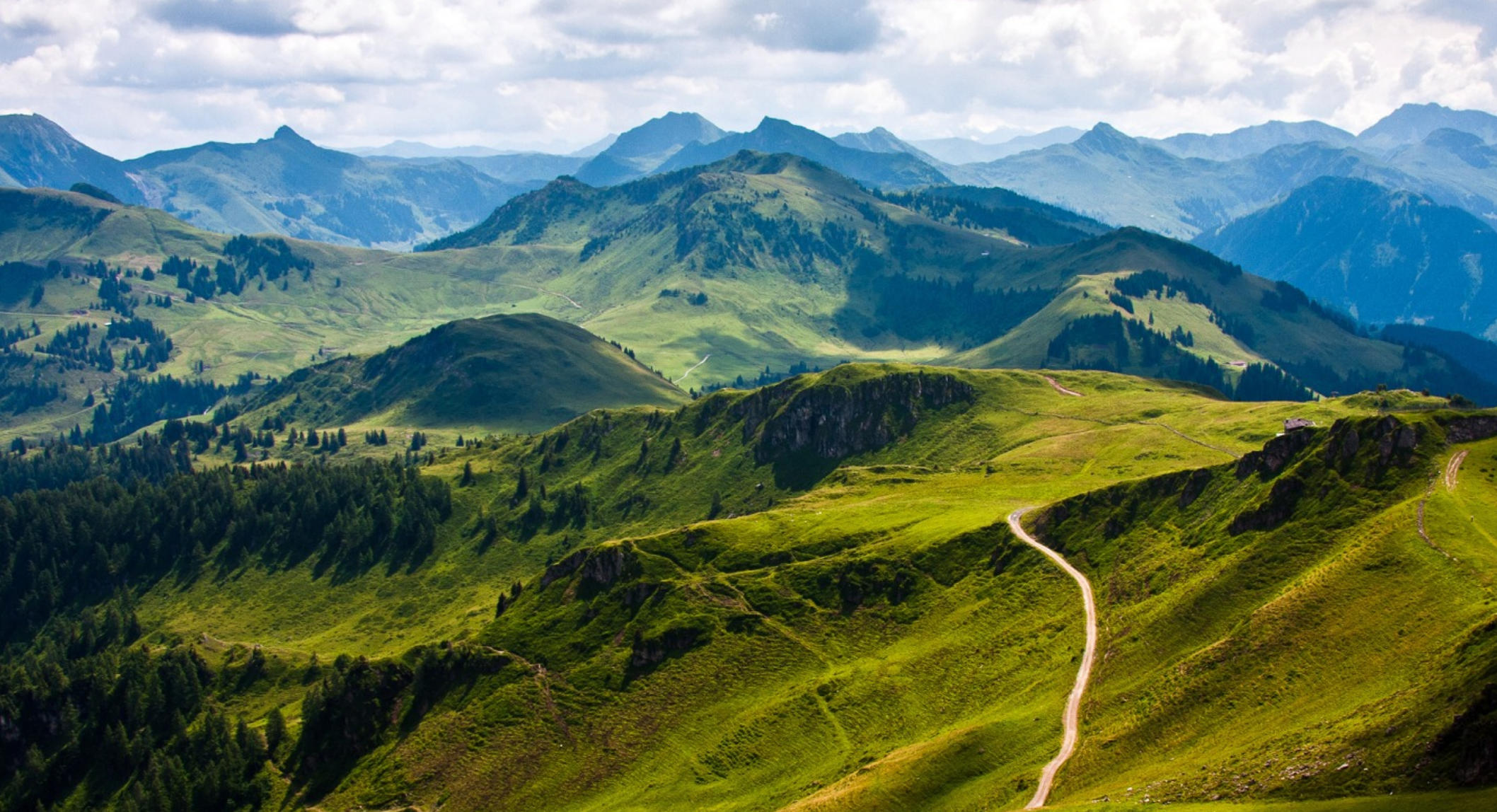 欲钱看乌龟打架指代表是打猜一最佳准确生肖数字 词语精选解释释义