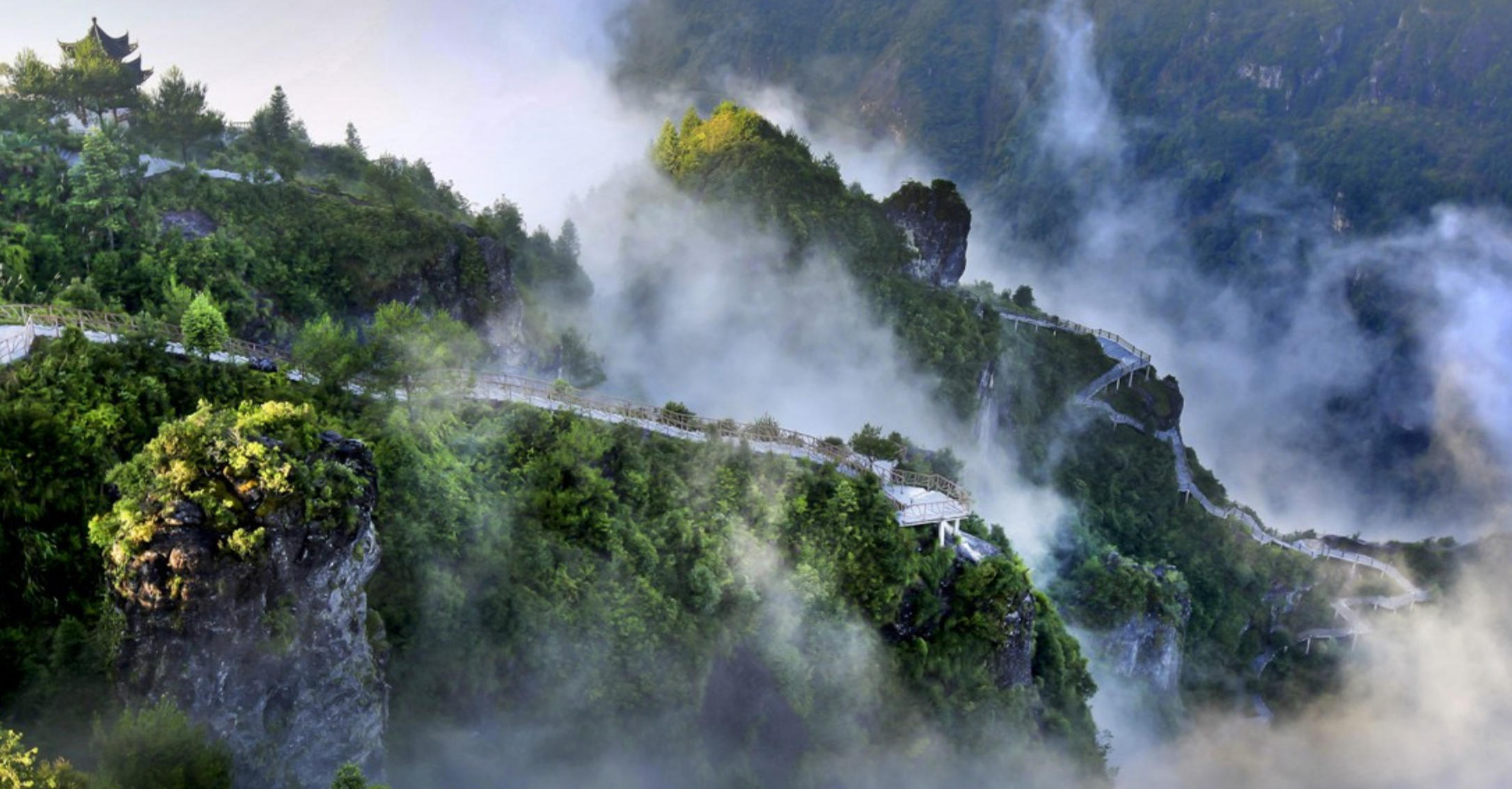 胸有成竹是指代表准确解什么生肖,打哪一个最佳作答成语解释