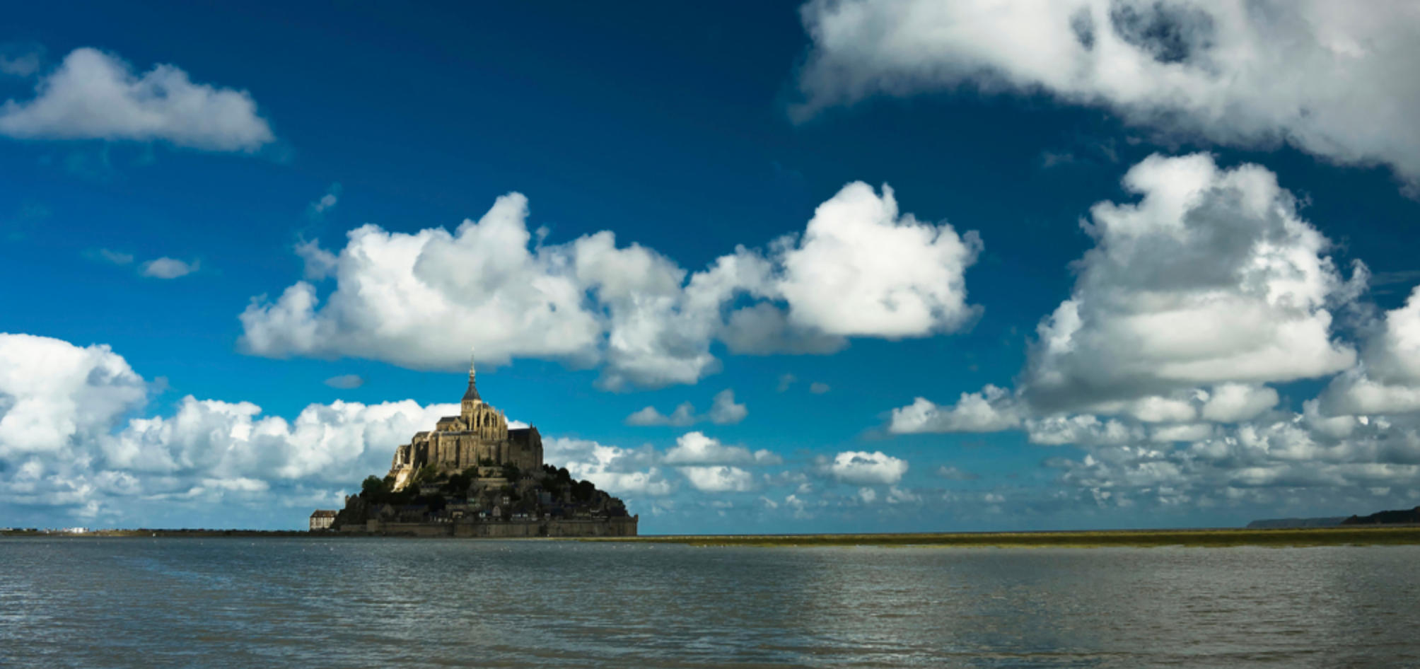 南金东箭指什么生肖，确定落实释义作答