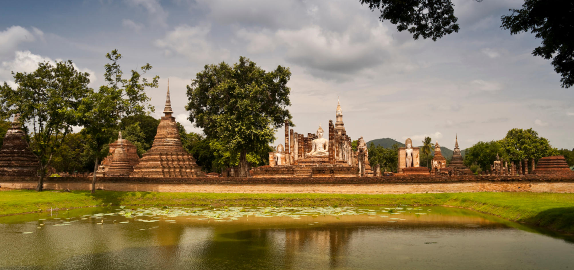 押押犯上台兔子不吃窝边草指代表什么生肖，最佳正确生肖 词语落实释义解释