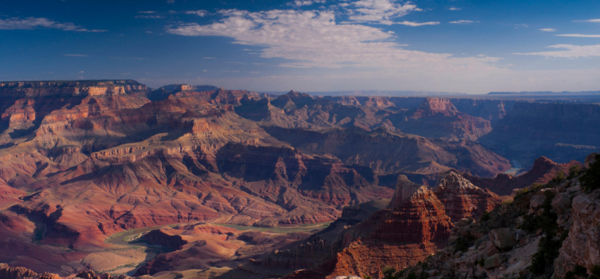素衣垂影，织姿误陷。对镜空嗟白发新是指打一准确生肖,释义最佳成语解释 ...