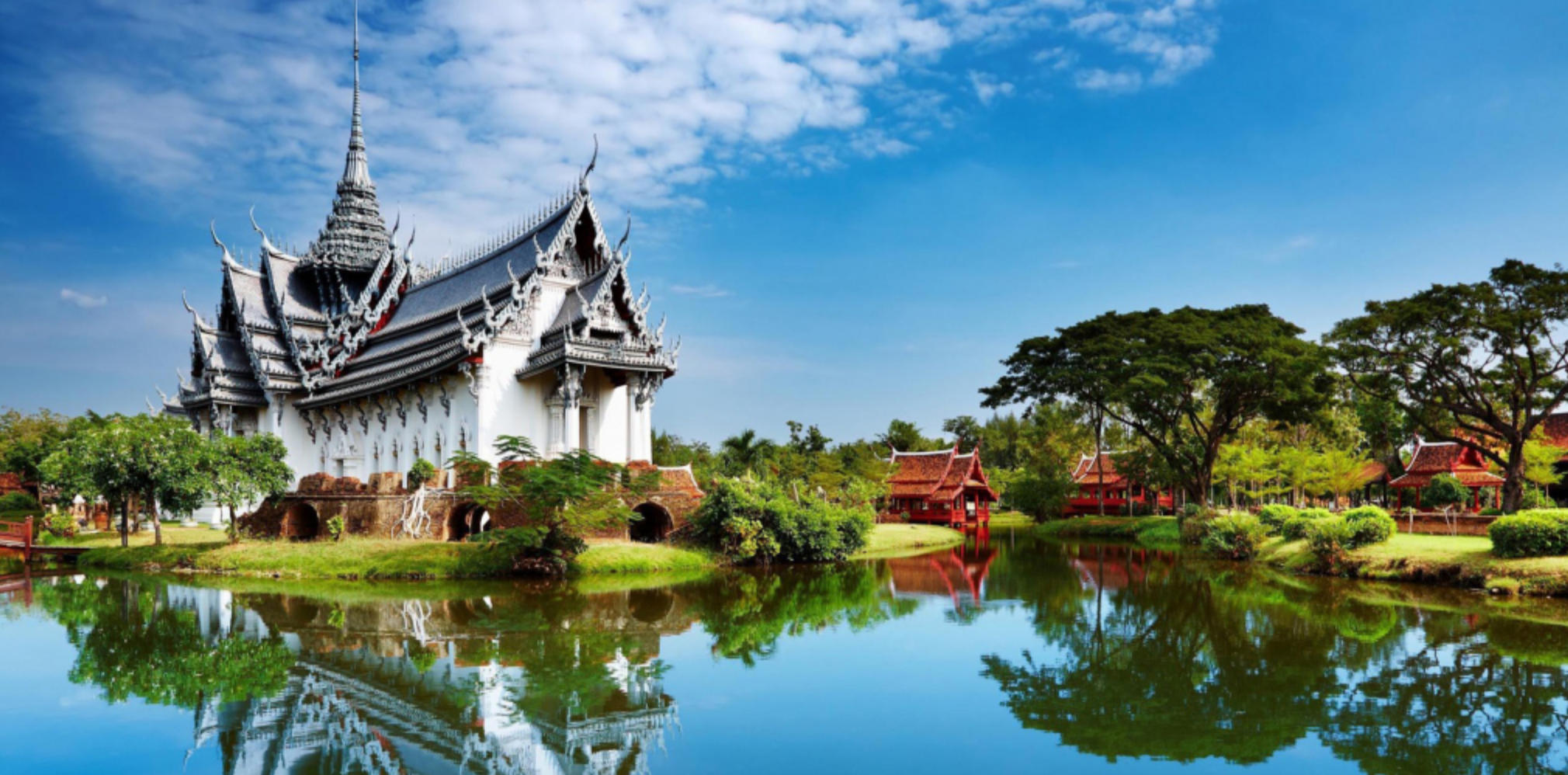 爪牙之士代表哪个最佳生肖，成语落实解答分析