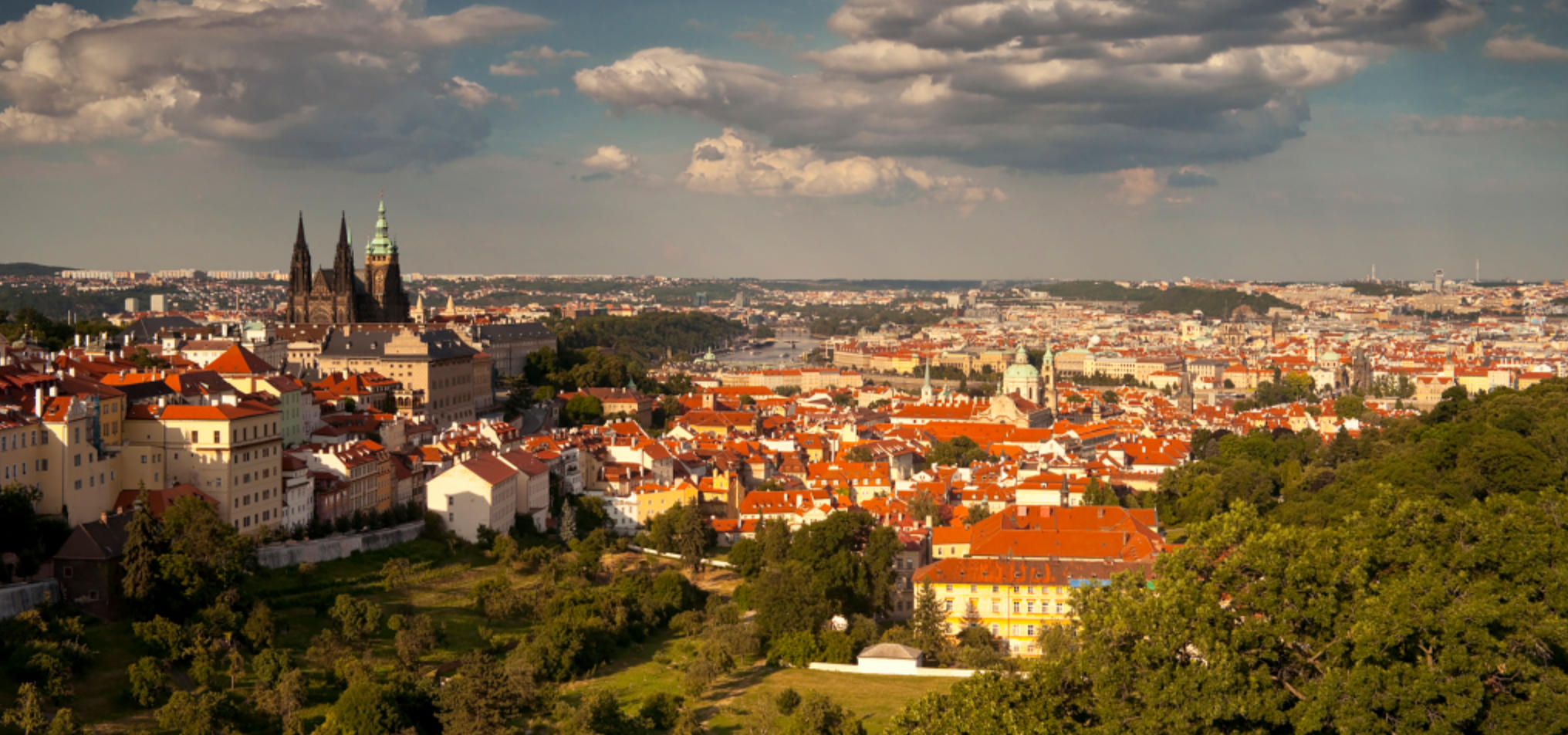 生肖得出自己查，连续中奖二三回指代表打一精准生肖、词语落实释义解释