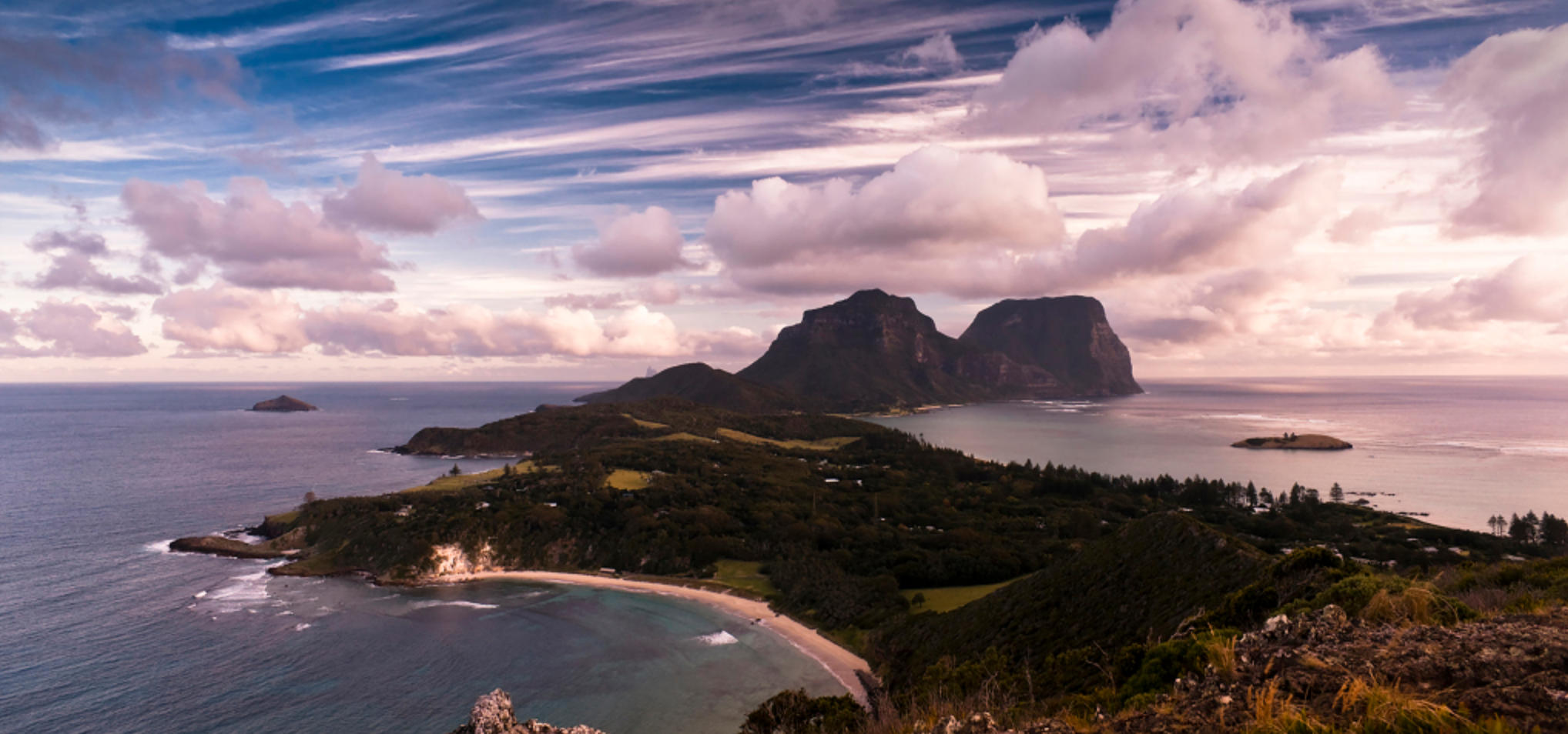 鹰拿燕雀指代表是什么生肖，权威词语解答落实
