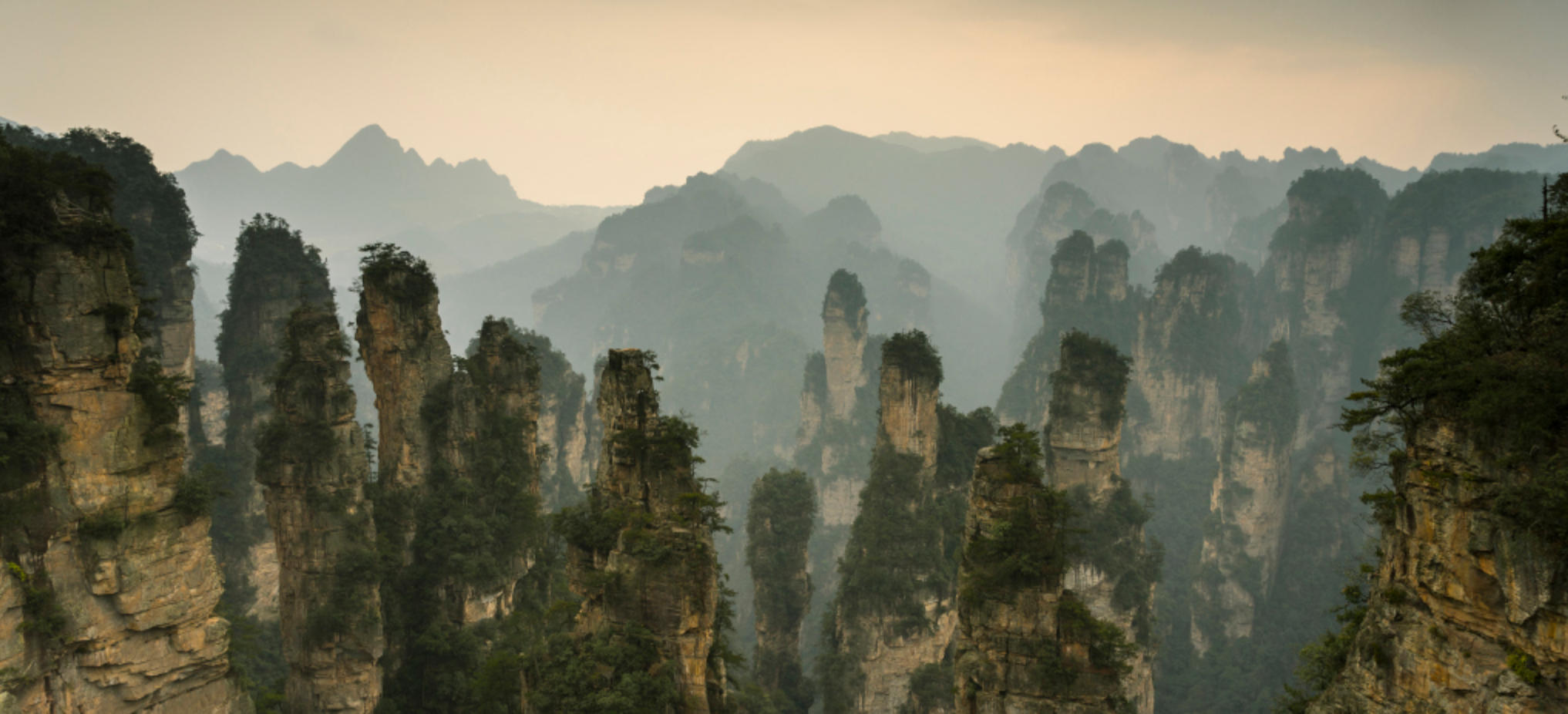 眉飞色舞代表指什么生肖 独家词语解释释义 精选释义最佳成语解释