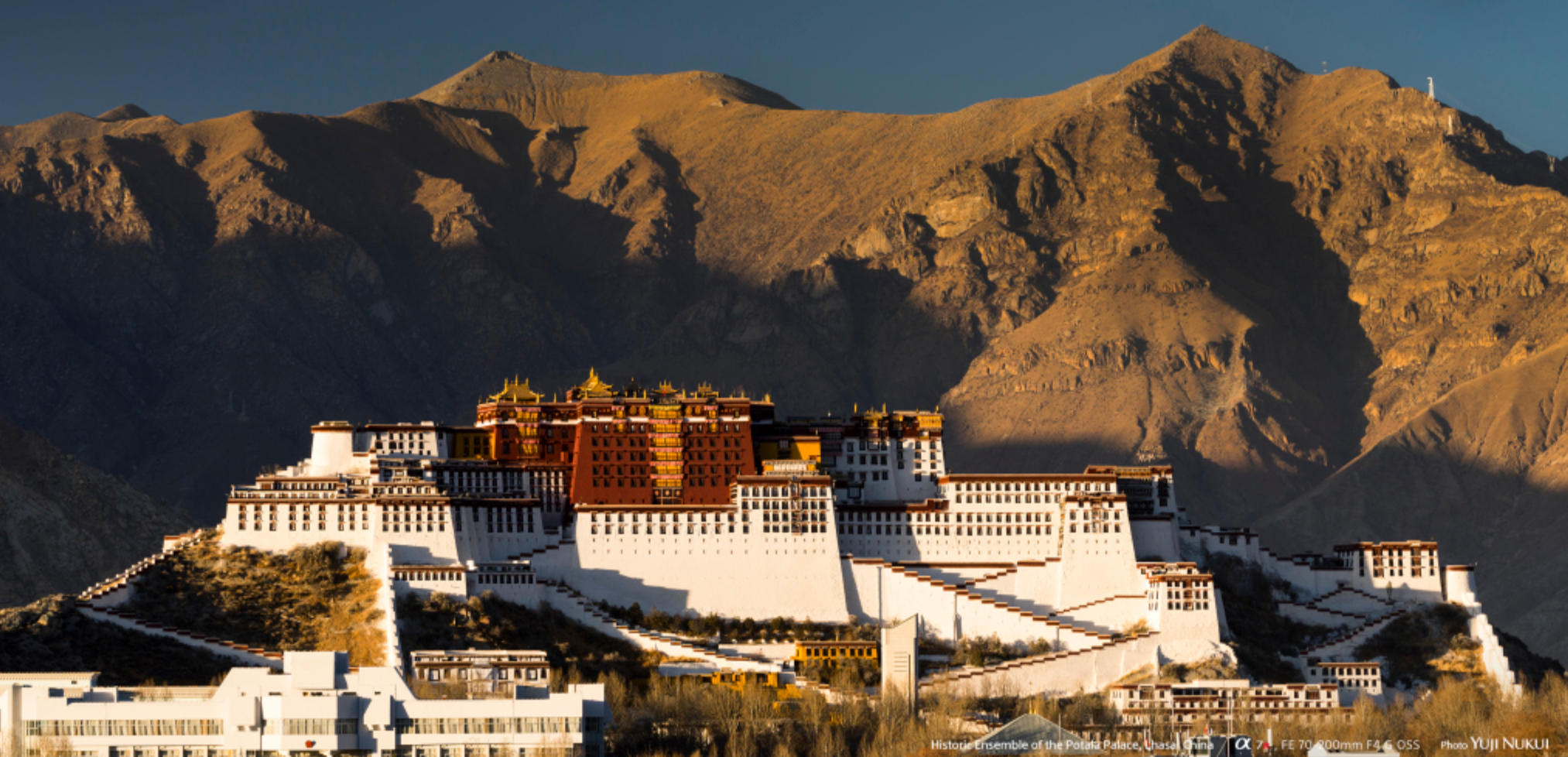 欲钱看刚出炉的铁指一个最佳准确生肖精选释义谜团解释