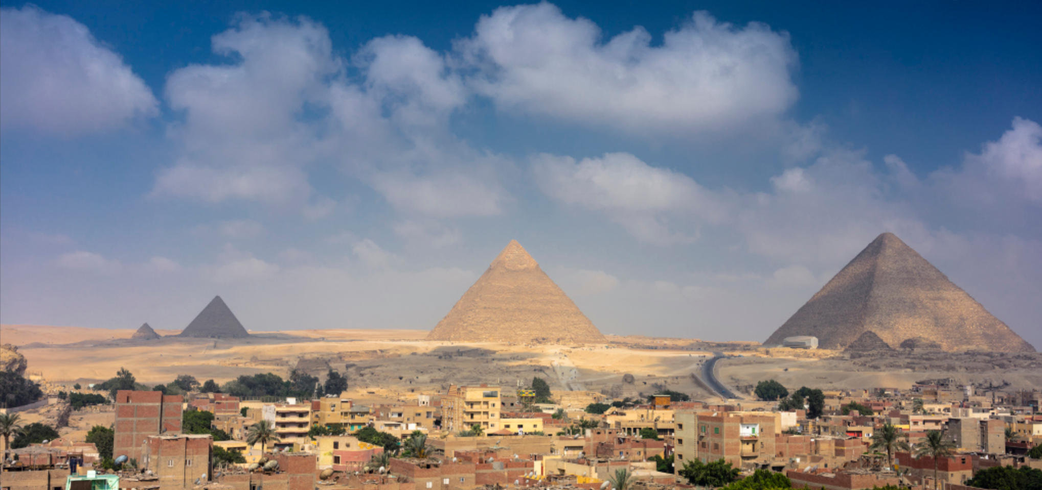 匹夫之勇指的是什么生肖，揭晓词语释义答案