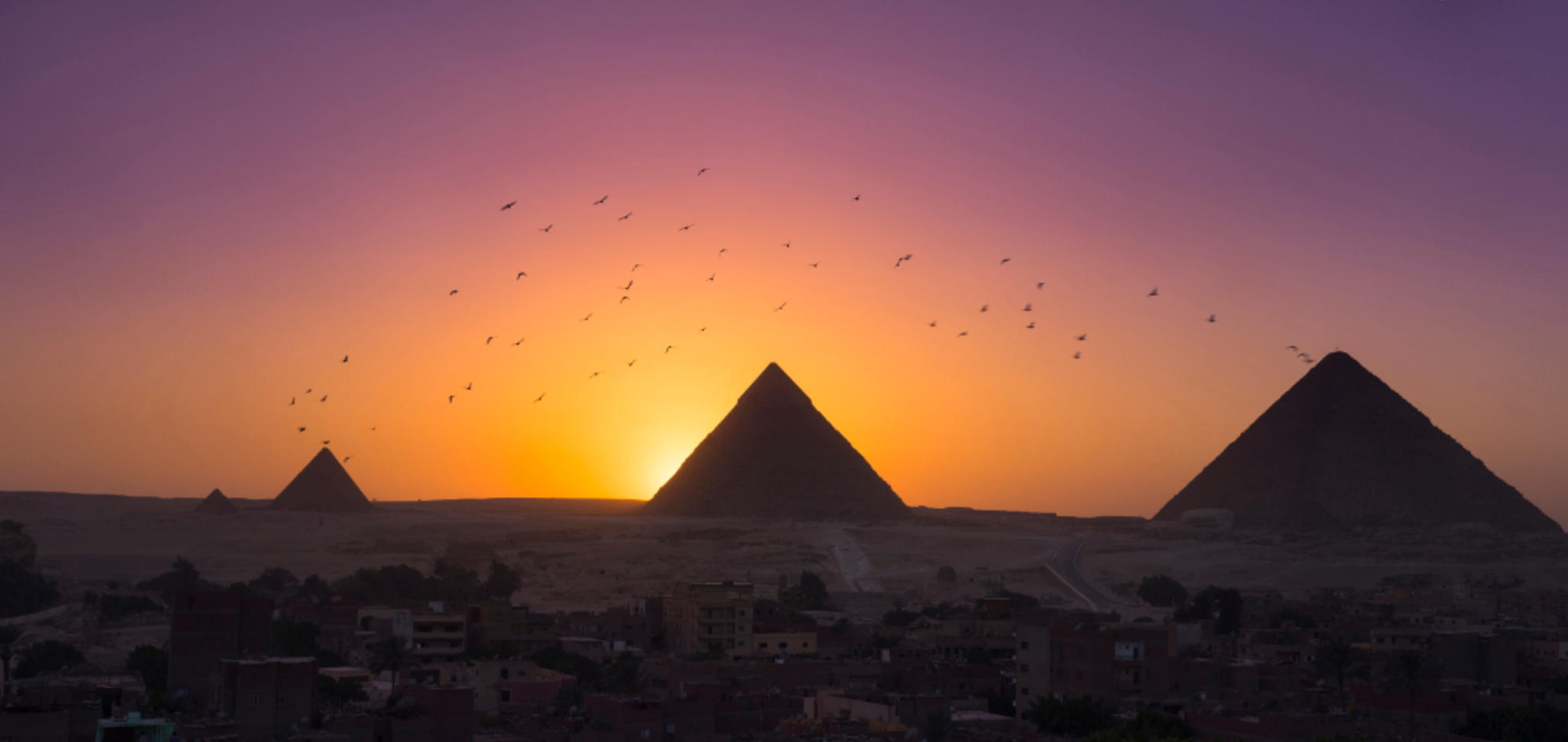 名扬天下三合局，风起云涌鑫字开指代表什么生肖  完美词语释义解释