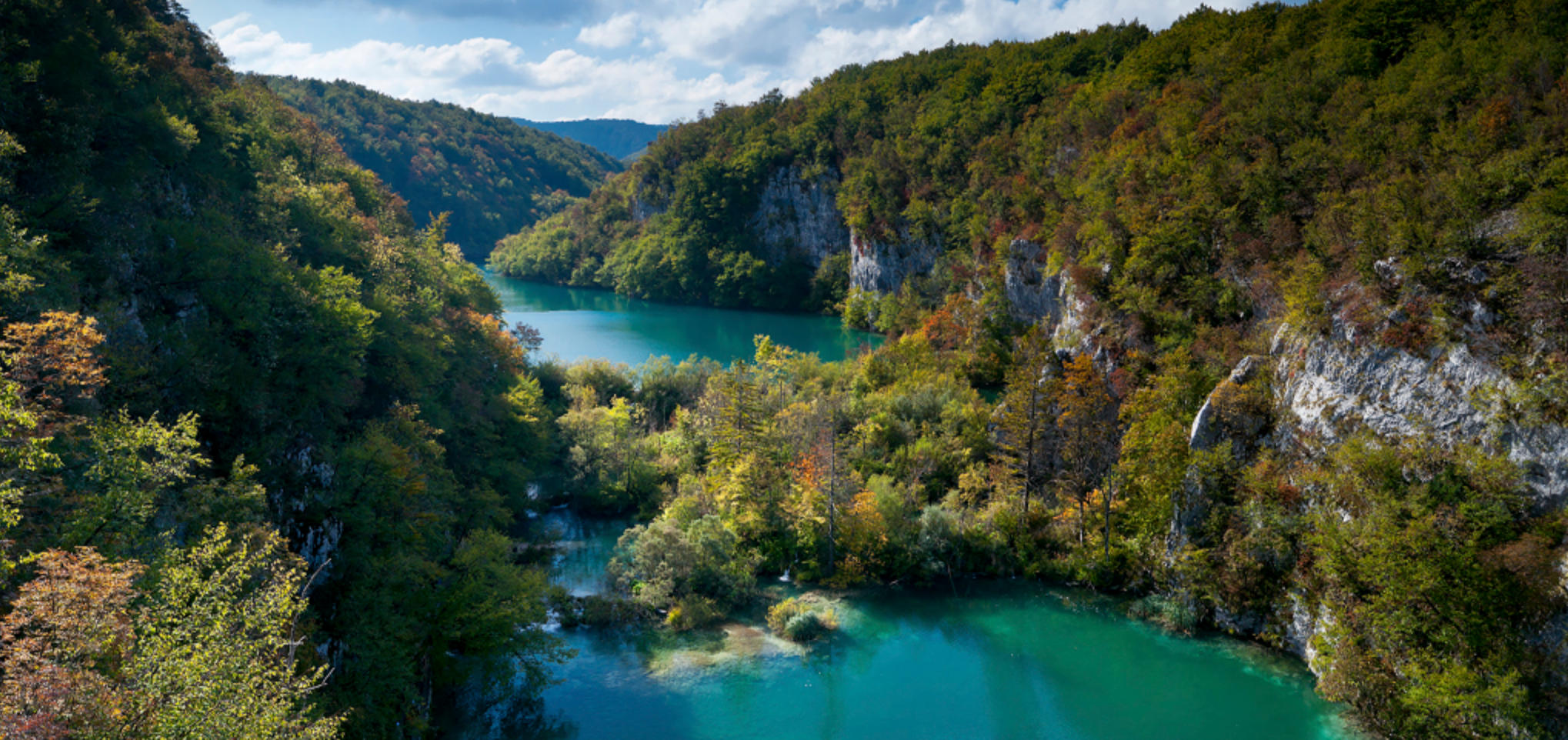 恃才傲物最佳解释是什么生肖，解读成语释义解释