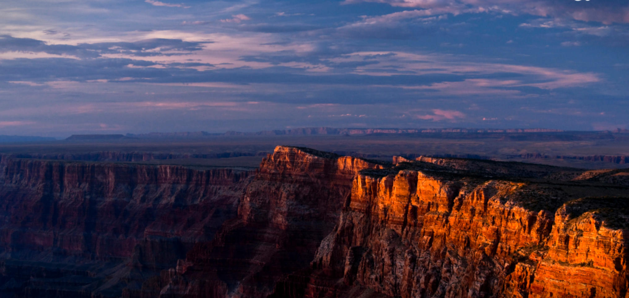 欲钱看挨打的鸭子猜解一打什么生肖，普遍词语完美落实