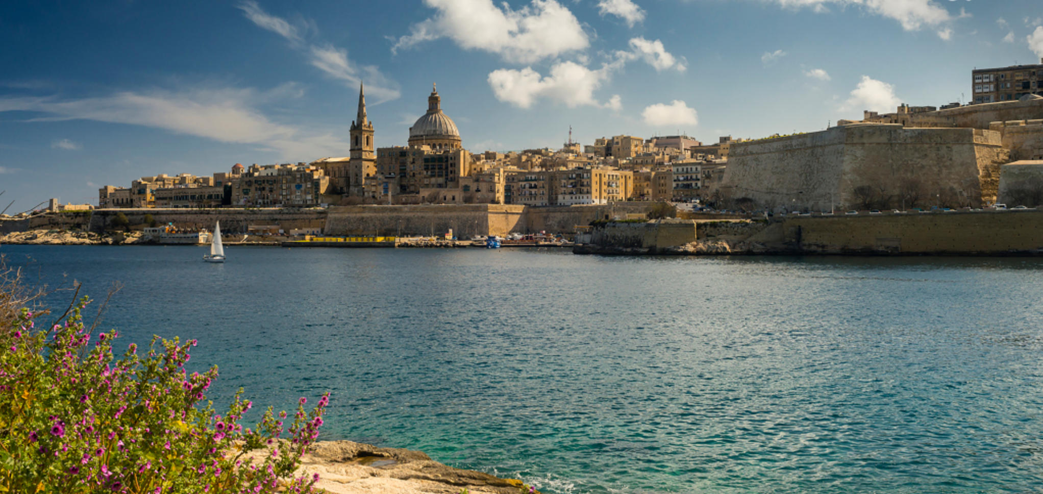 近火先焦打猜一代表什么生肖，核心成语解释释义