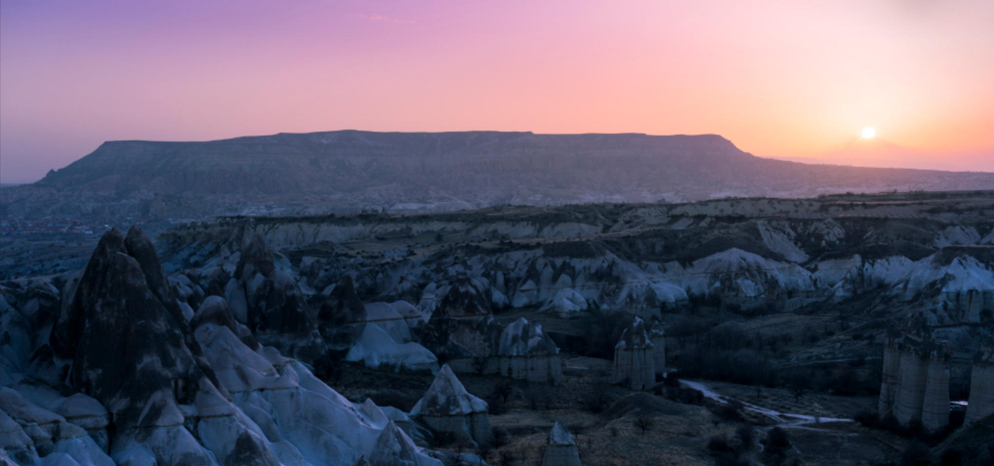 今期龙鸡猪出特，独与江邻水拍浮代表最佳生肖，成语释义作答揭晓