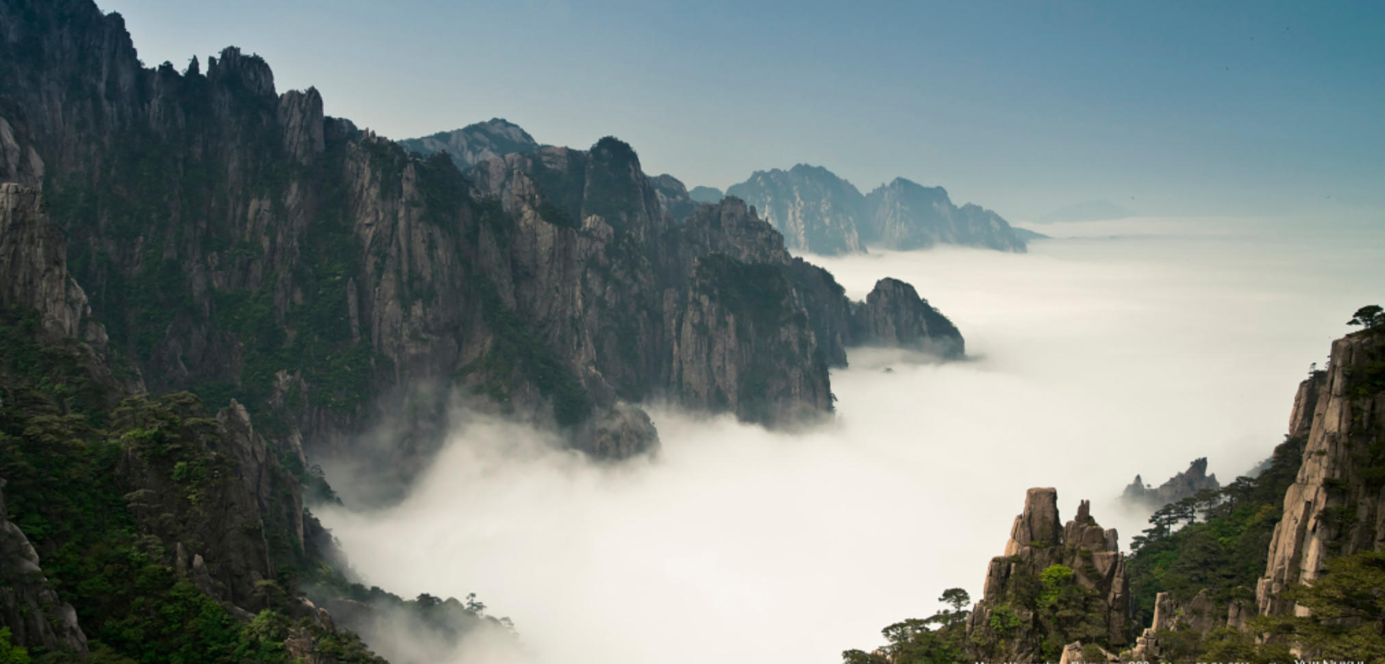 年轻力壮，志大才疏。干戈未定失壮士代表是什么生肖， 最佳释义谜团解释