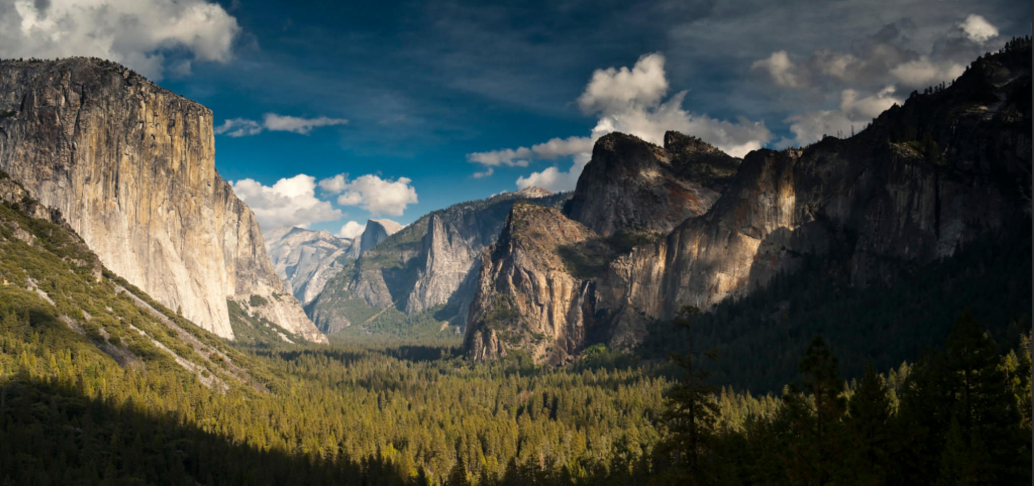 玉砌雕阑是什么生肖,词语解释落实释义