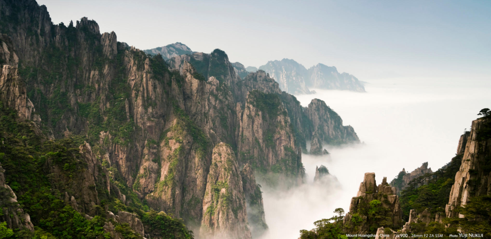 今期生肖二二开，一八专心九致志指什么生肖，词语解释重点解