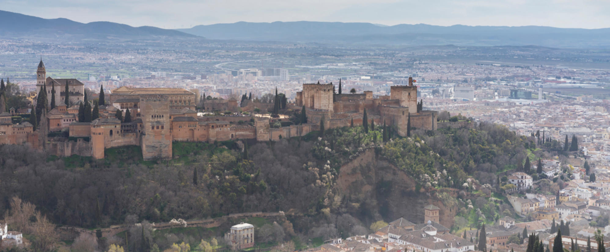 闲庭柳寂，放雏枝依。晓风长路起埃尘。眉梢带笑，意兴如酥。西园歌舞骤然稀。是打指什么生肖  词语解释独家释义