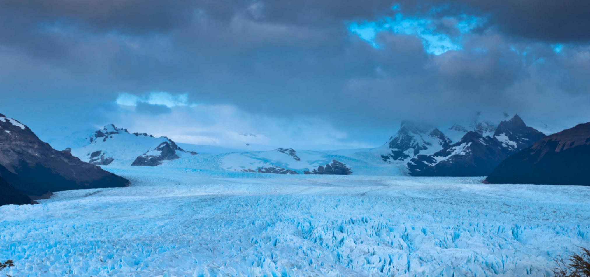 一叶报秋打一个生肖，深刻解读经典释义