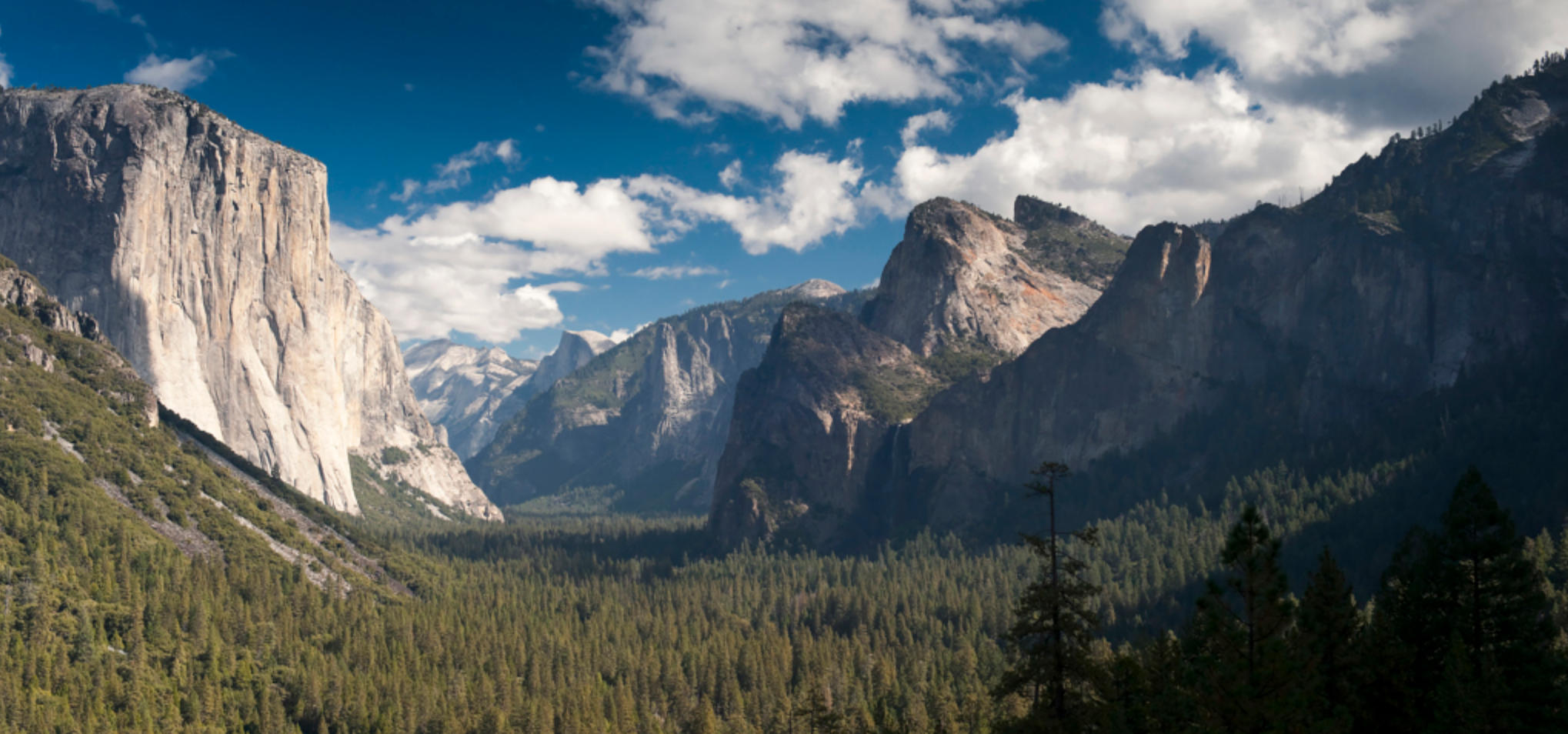 驽马十驾代表是指什么生肖，猜一词语释义解释