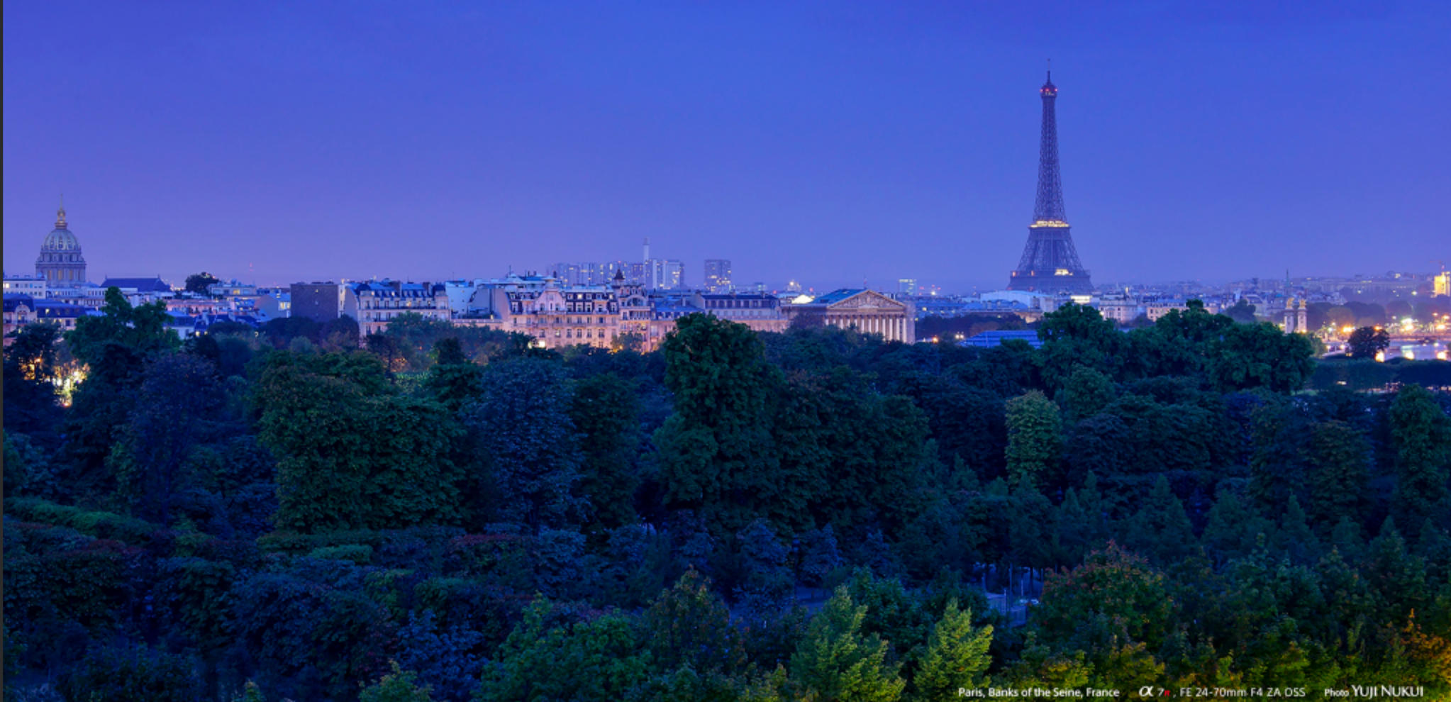 南金东箭猜打一准确生肖，重点解答解释落实