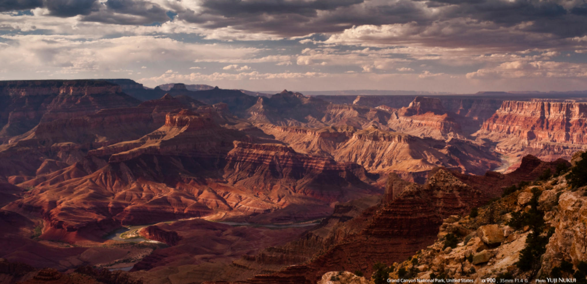 二八结伴三寻乐，万事如意呈吉祥是指代表准确解什么生肖  猜打最佳作答成语解释释义