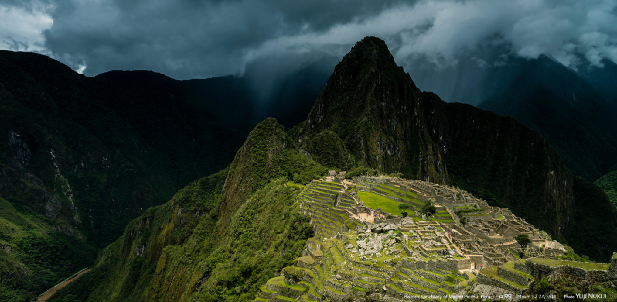 南山可移，泥沙俱下，山绕天涯路有兵是指代表什么生肖，最新解答揭晓落实