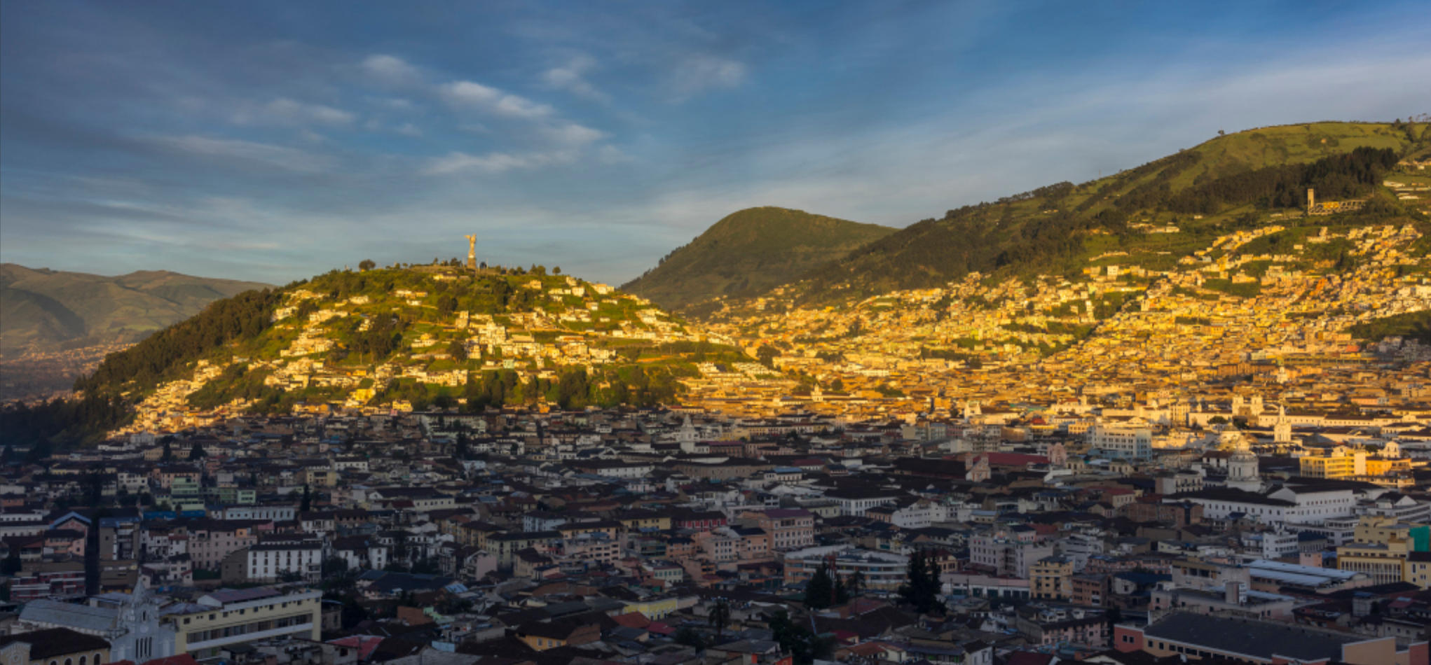 羊头狗肉画虎皮，一言九鼎蛇太子是指代表最佳什么生肖，释义作答谜底解释答案 ...