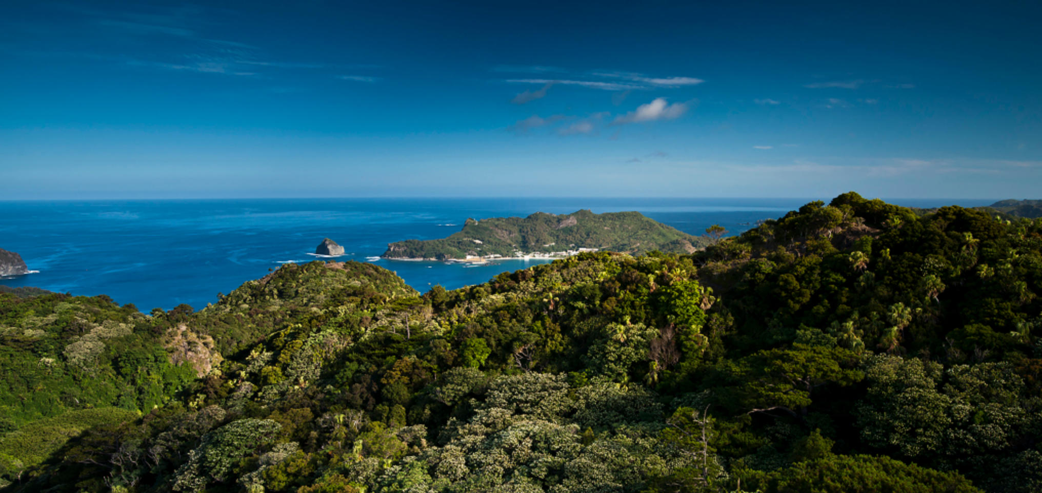 今期生肖二三开，二九相合在今期代表哪个生肖，成语解释释义落实